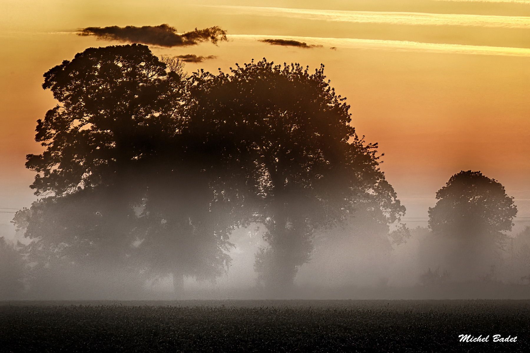 Melesse, Britanny fields, France