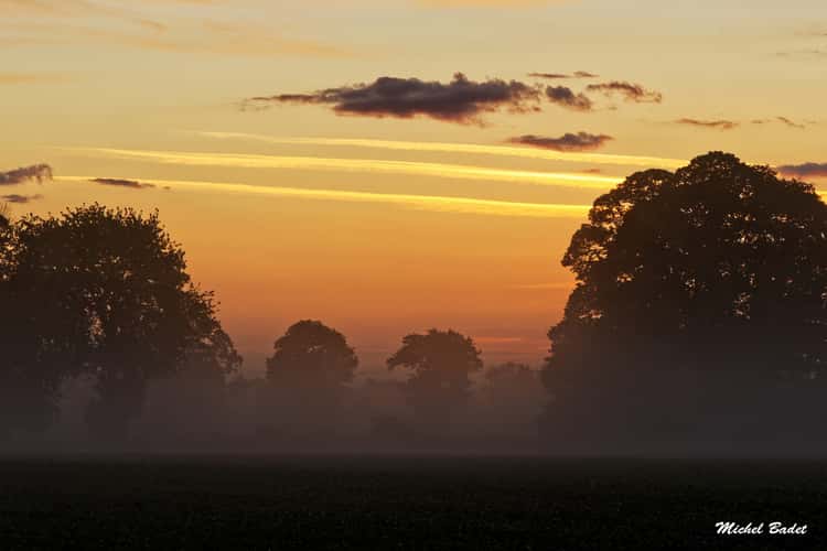 Melesse, Britanny fields