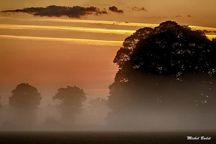 Melesse, Britanny fields