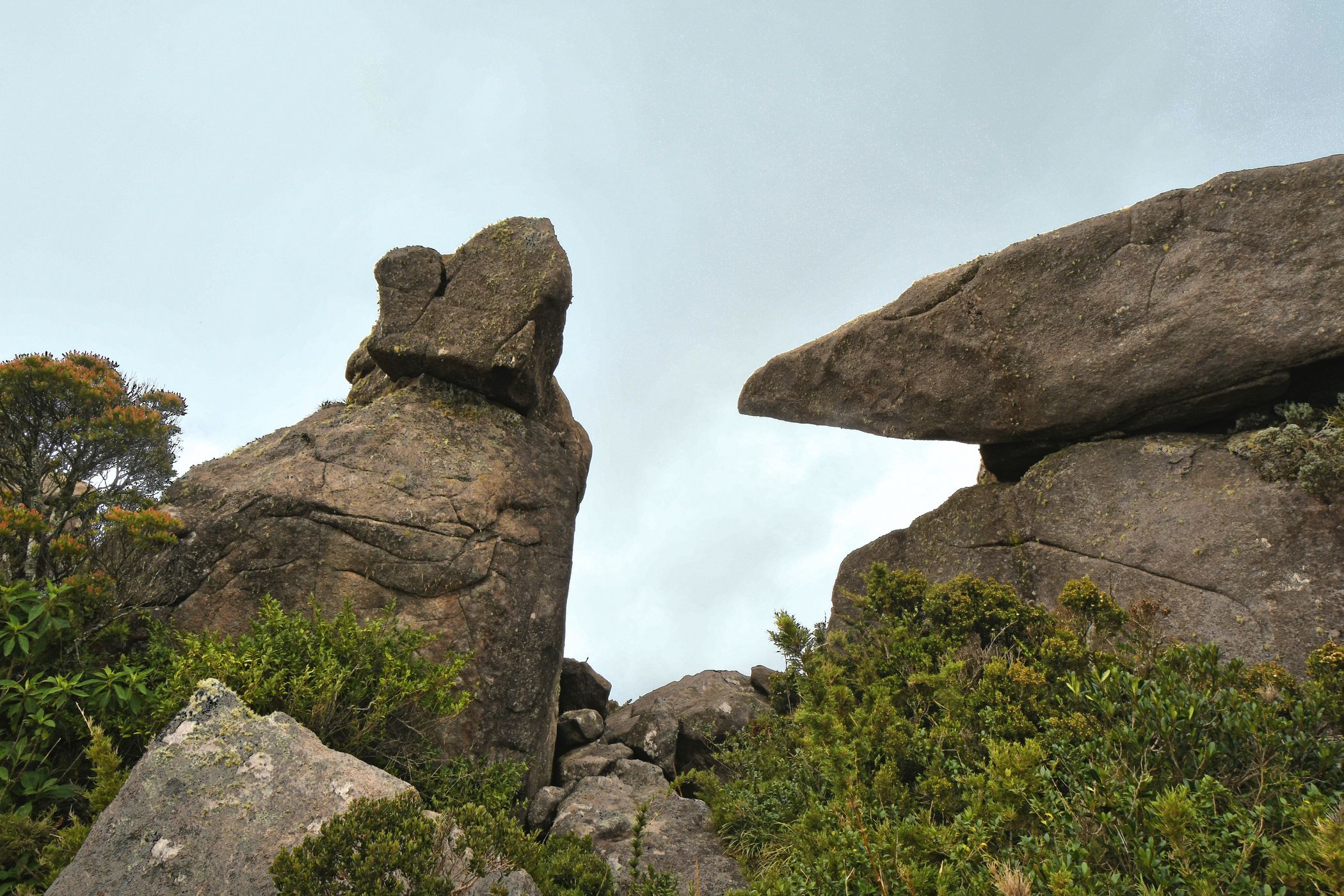Morro do Couto, Brazil
