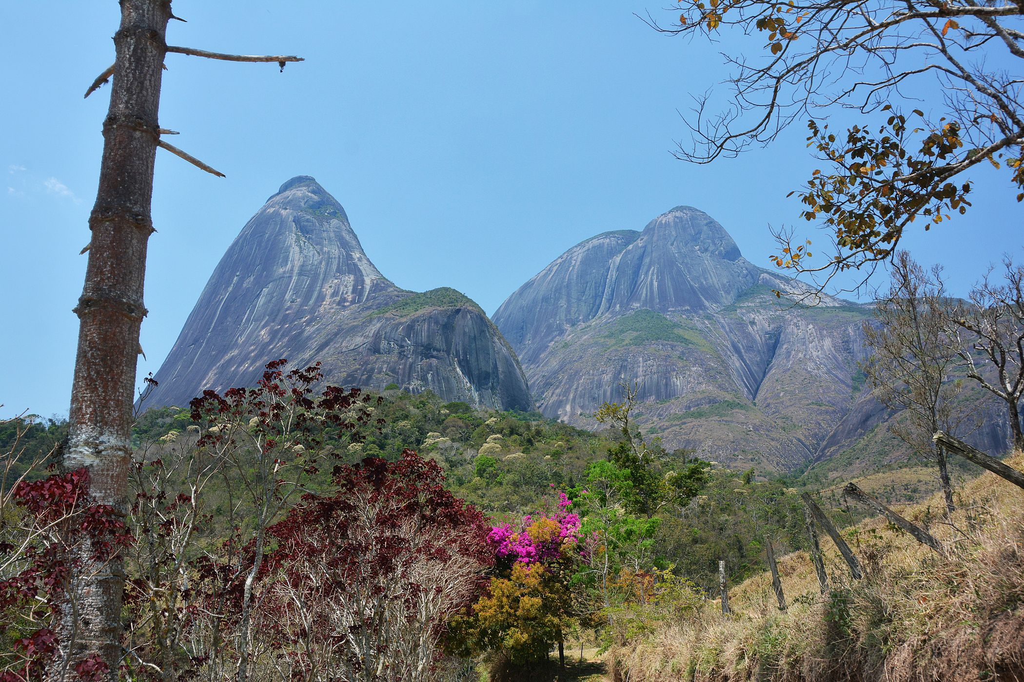 Near Parque dos Tres Picos, Brazil