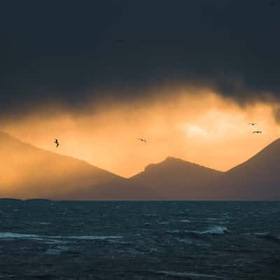Oceanview near Estrahorn, Iceland