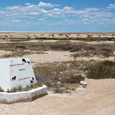 Okondeka, Namibia