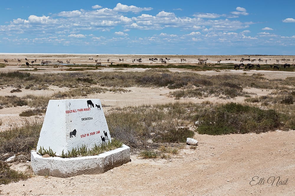 Okondeka, Namibia