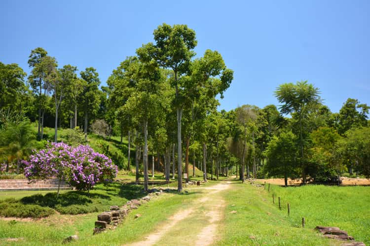 Parque Sao João Marcos
