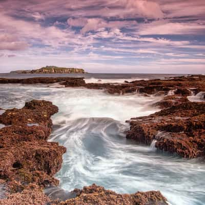 Philip Island, Cemetery Bay Reef, Norfolk Island, Norfolk Island