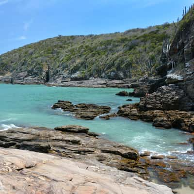 Poça da Tartaruga, Brazil