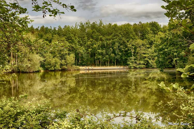 Pond of Bétineuc