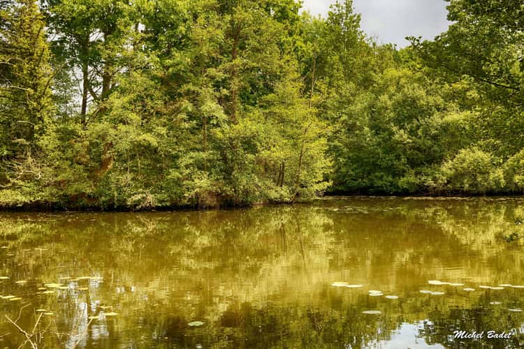 Pond of Bétineuc