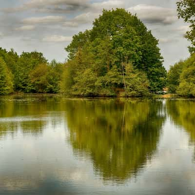 Pond of Bétineuc, France