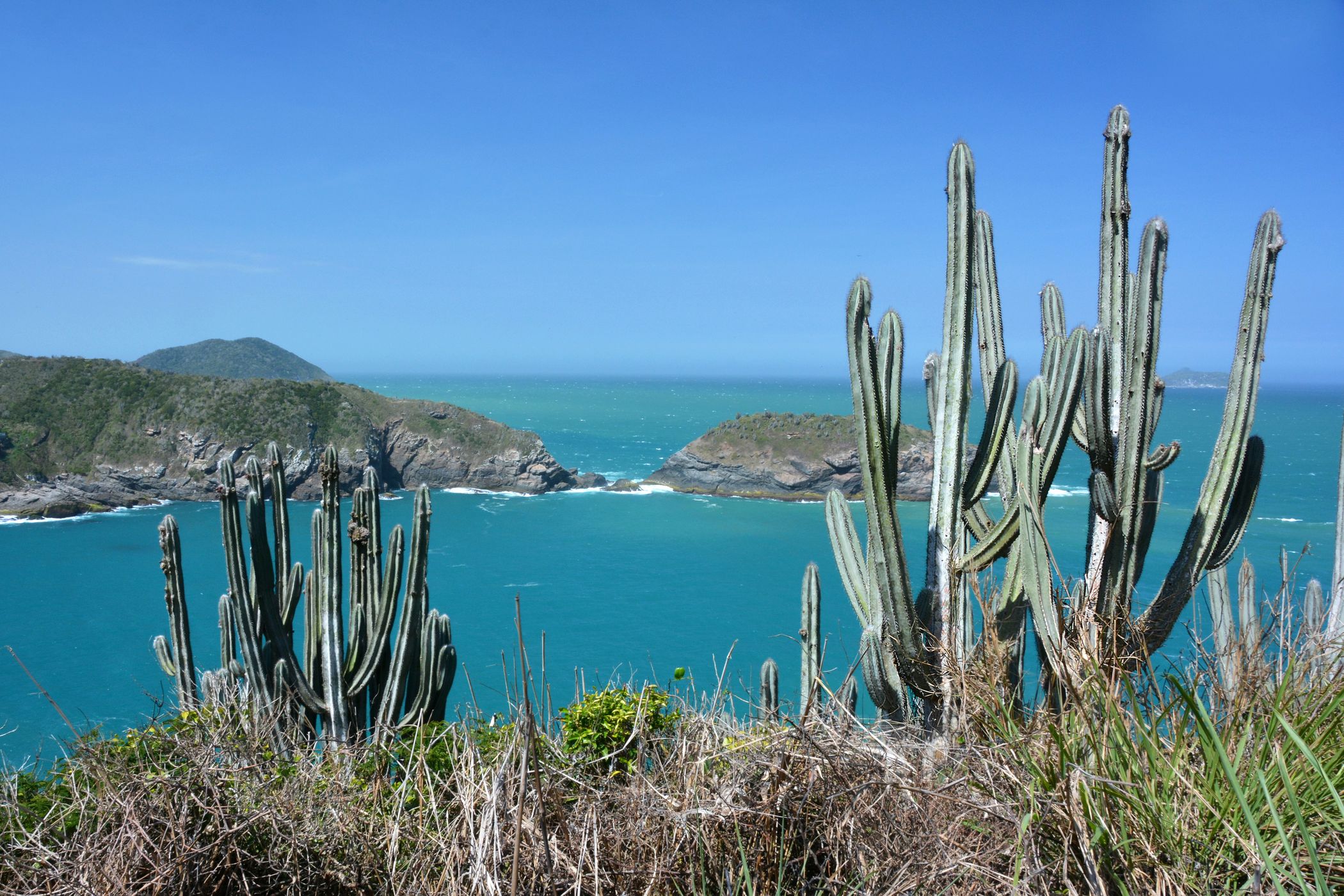 Ponta da Ferradura, Brazil