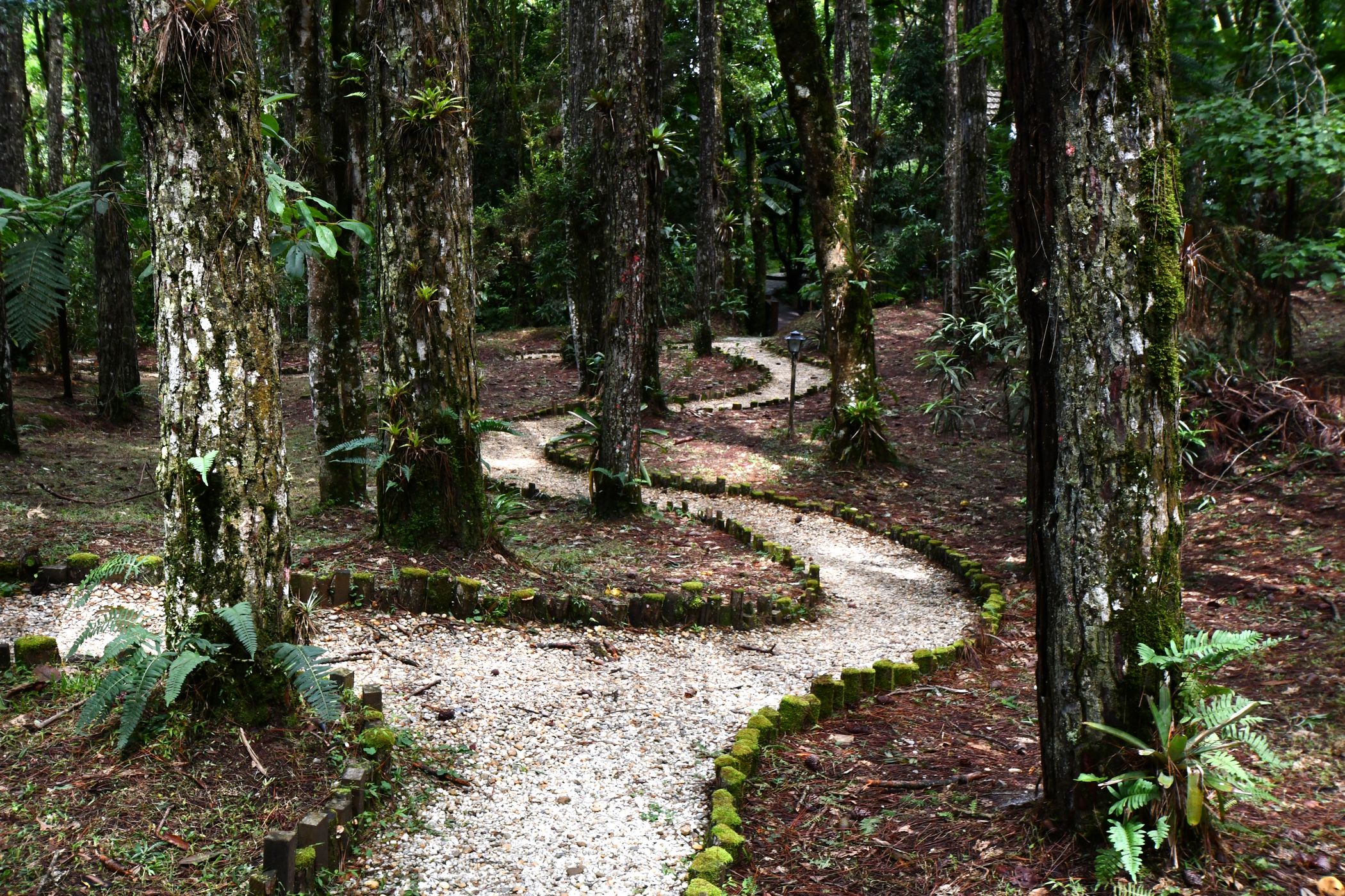 Pousada Casa Bonita, Brazil