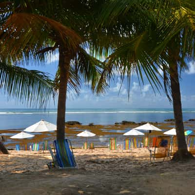 Praia do Forte Beach, Brazil