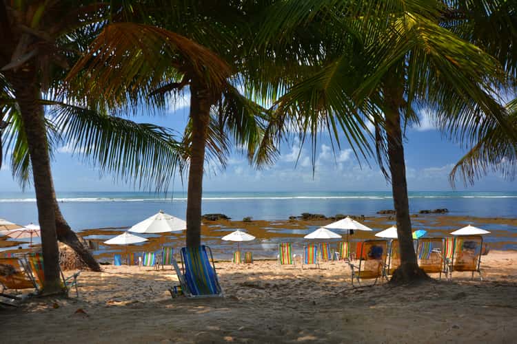 Praia do Forte Beach