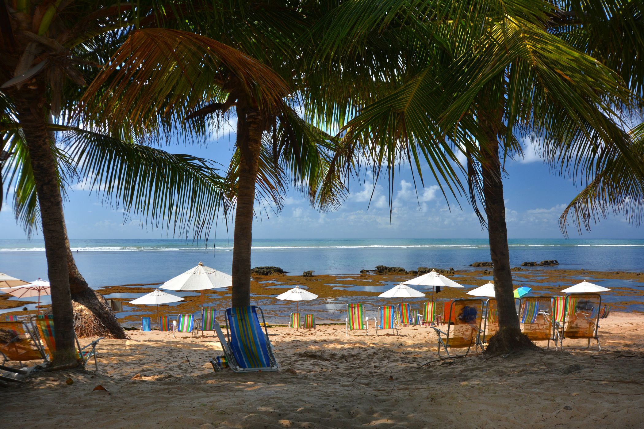 Praia do Forte Beach, Brazil
