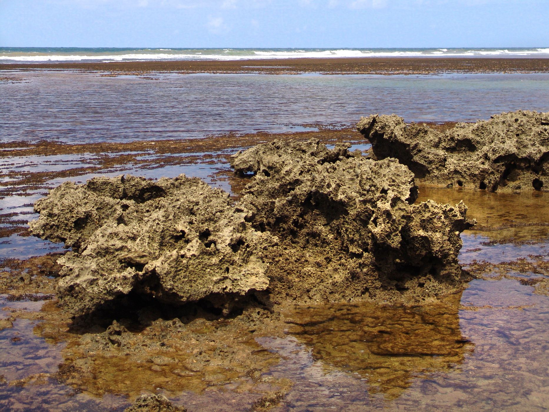 Praia do Forte, Brazil