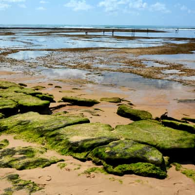 Praia do Forte, Brazil