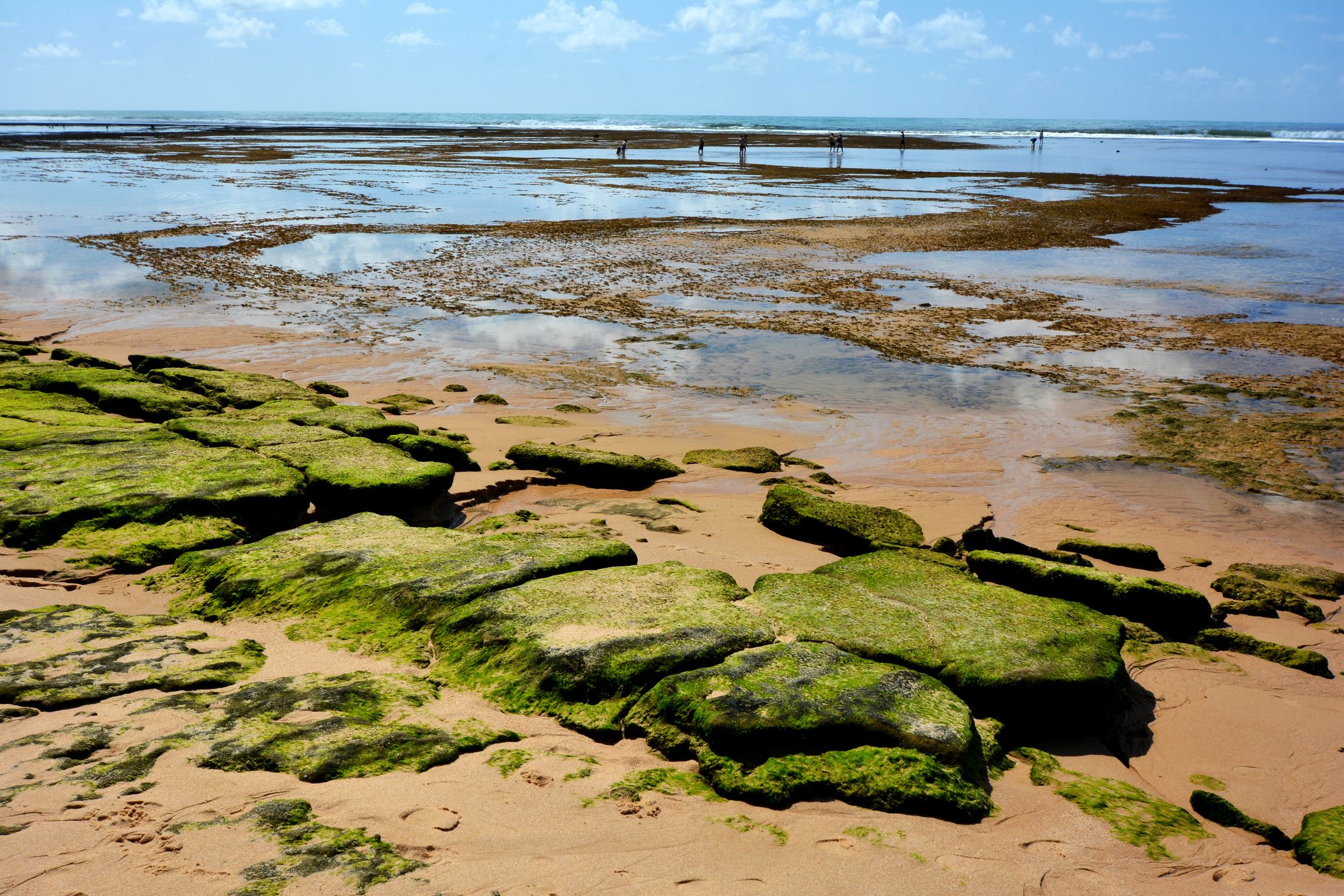 Praia do Forte, Brazil