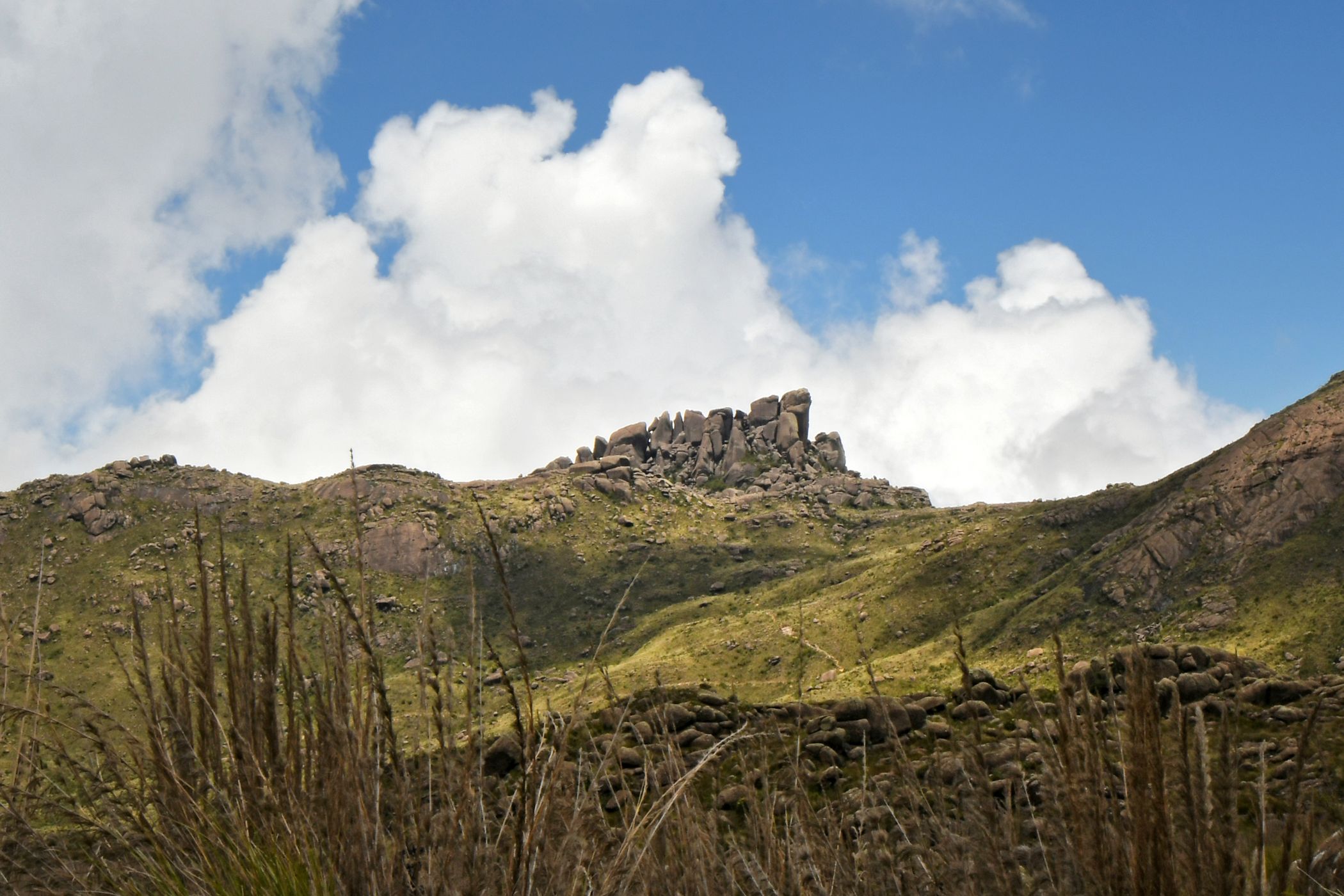 Prateleiras, Brazil