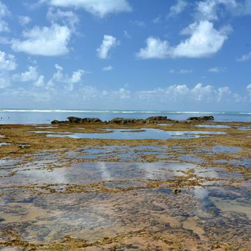 Reefs at Praia do Forte, Brazil