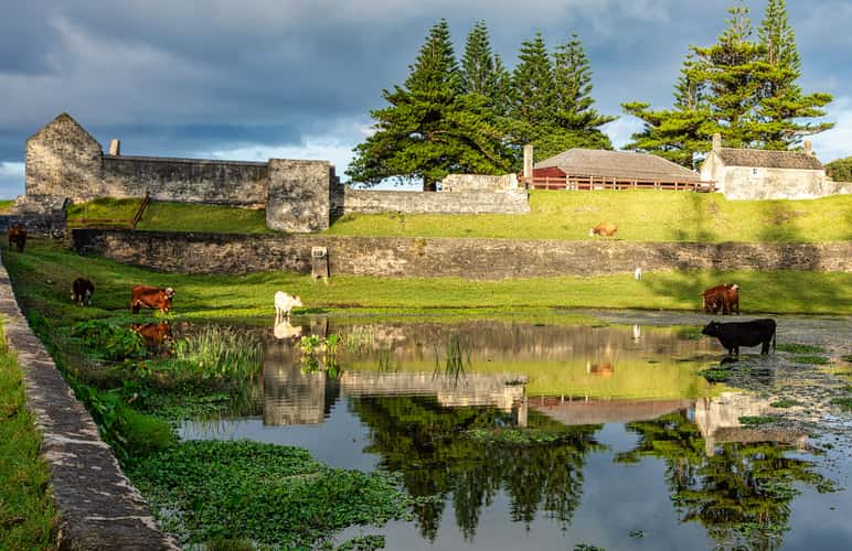 Reflections Kingston, Norfolk Island