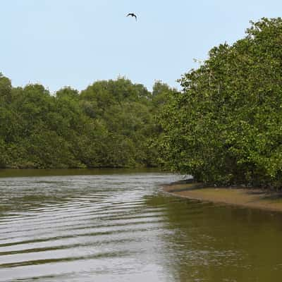 Rio Macacu, Brazil