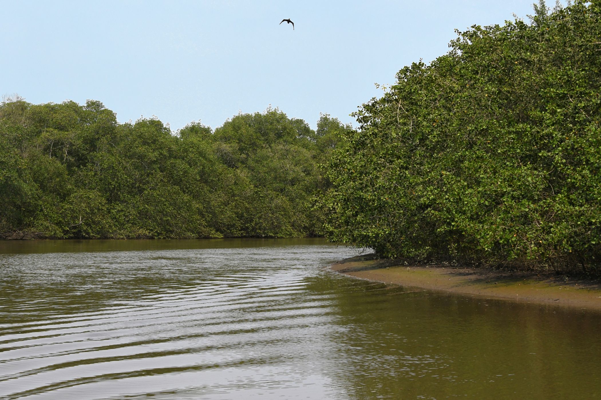 Rio Macacu, Brazil