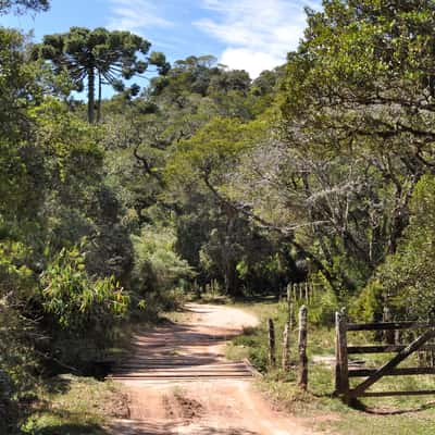 Road at Bocaina, Brazil