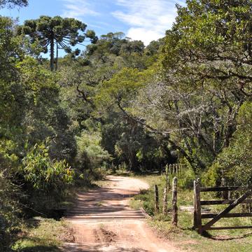 Road at Bocaina, Brazil