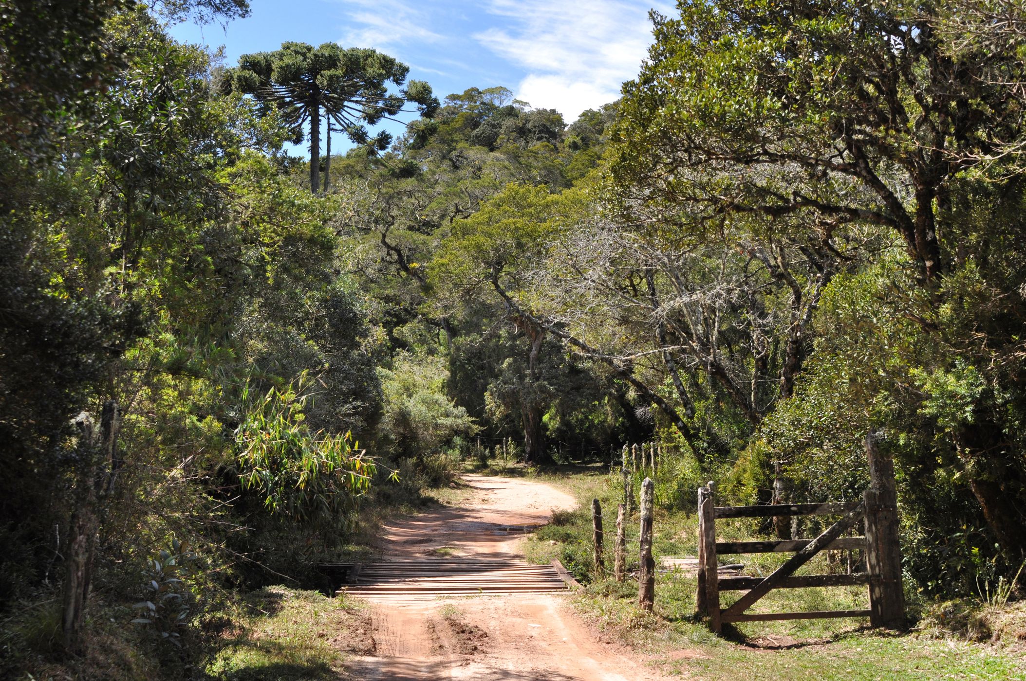 Road at Bocaina, Brazil