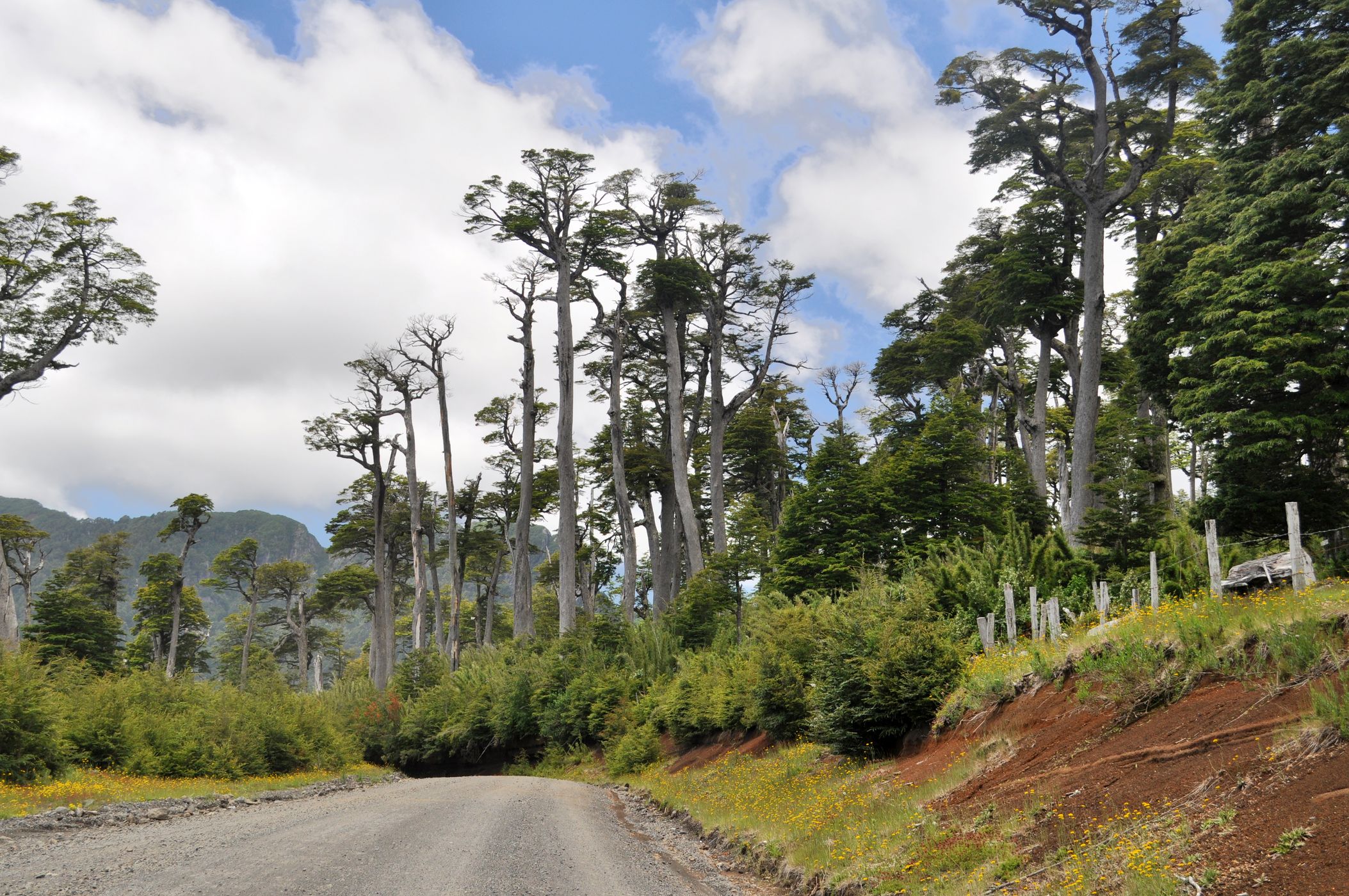 Road to Ski Pucon, Chile