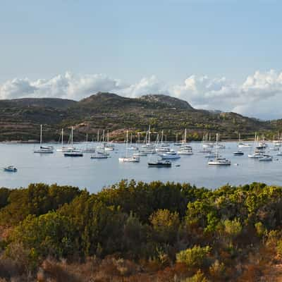 Rondinare BAy, France