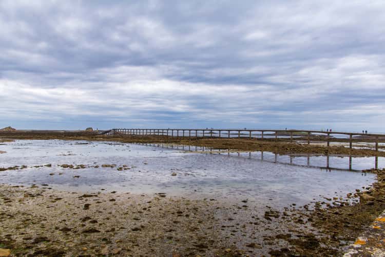 Roscoff - Harbor and Town