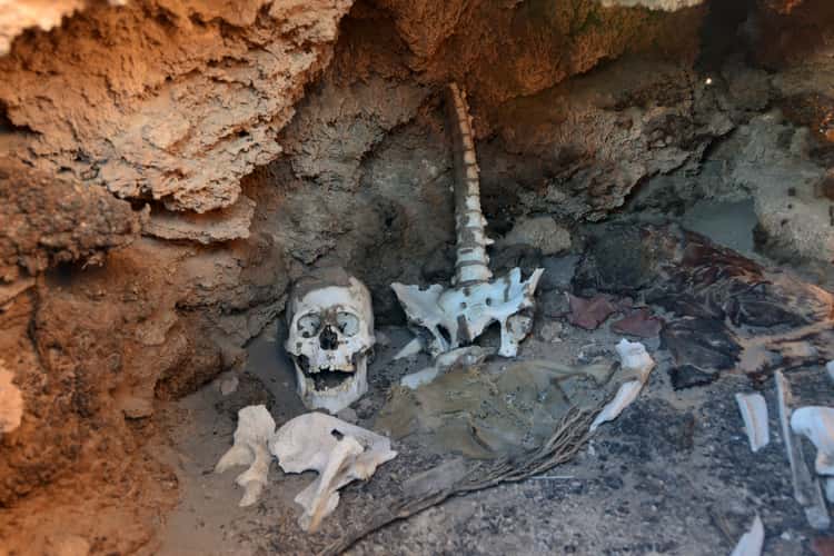San Juan's precolombian necropolis
