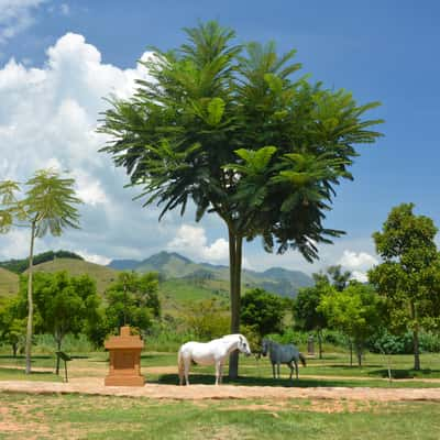 Sao João Macos, Brazil