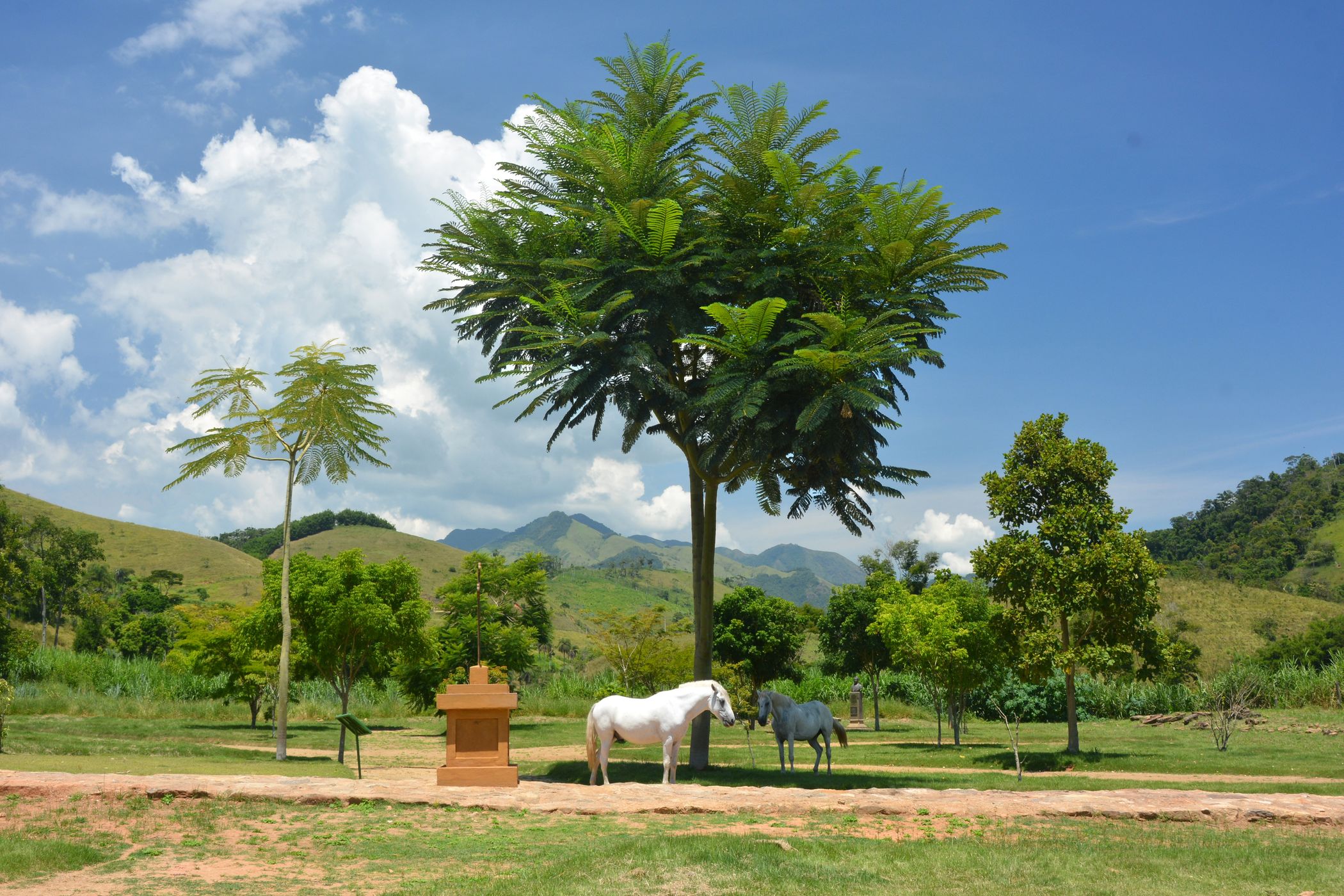 Sao João Macos, Brazil