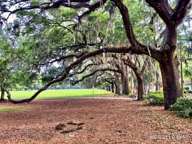 Savannah, Georgia
