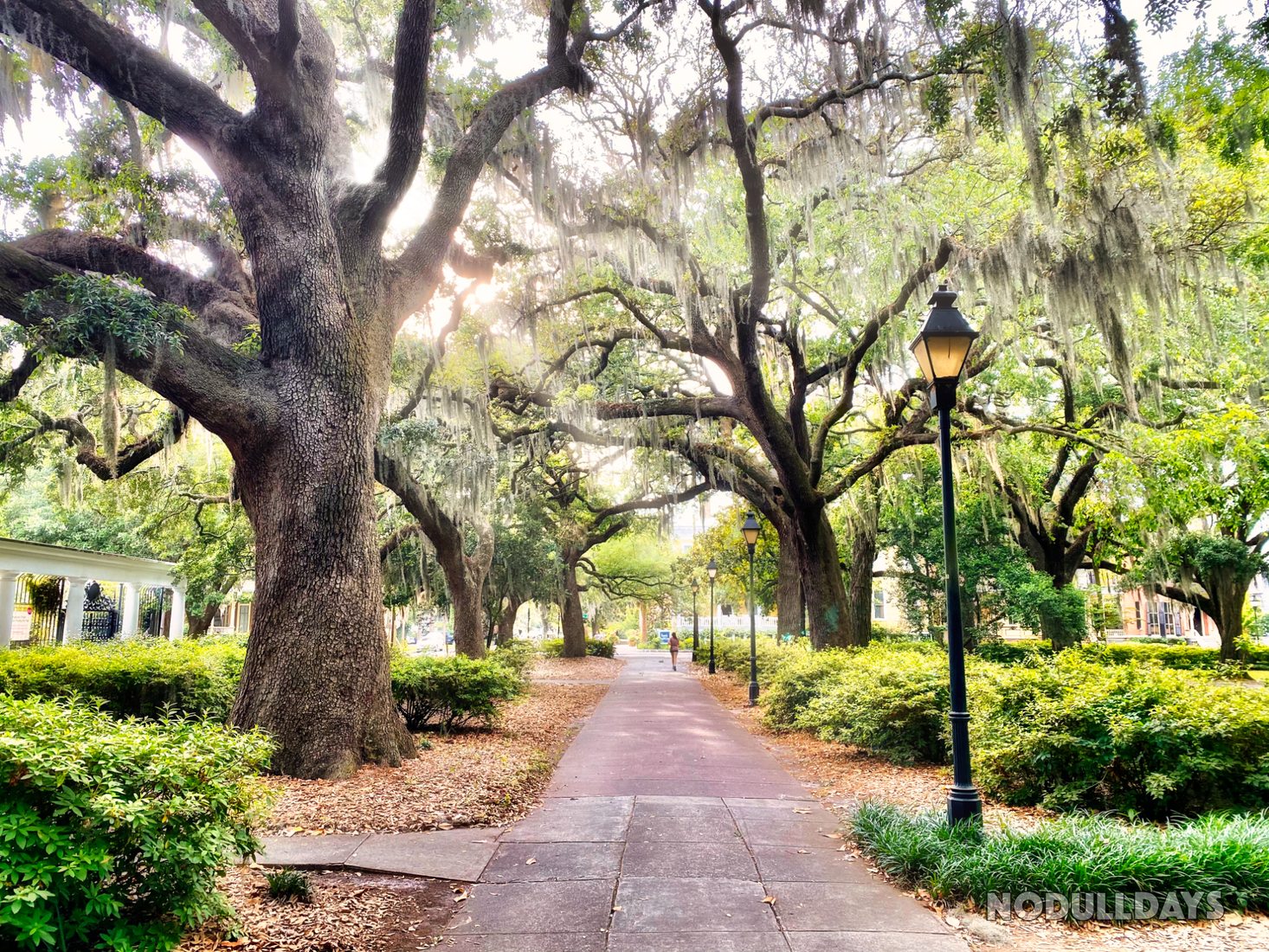 Savannah, Georgia, USA