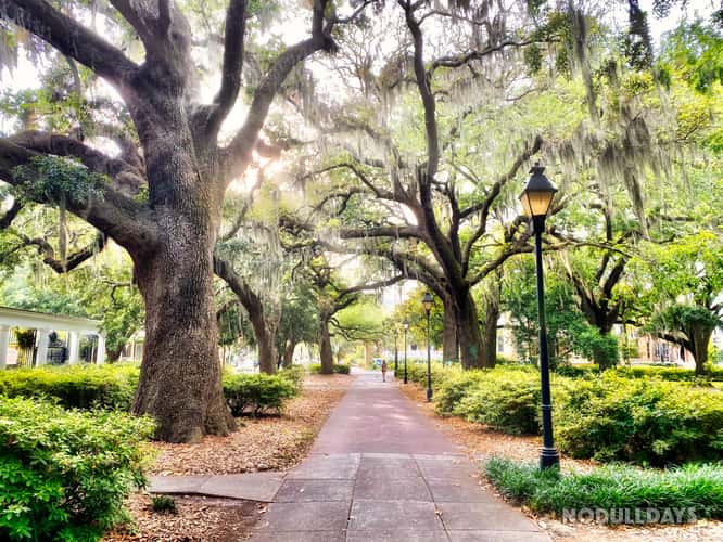 Savannah, Georgia