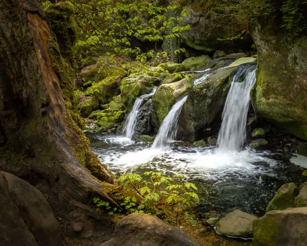 Classic View of Schiessentümpel Cascade
