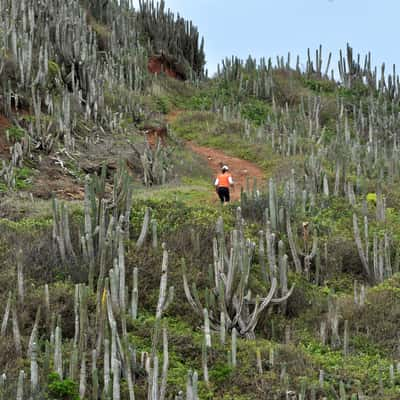 Serra das Emerencias, Brazil