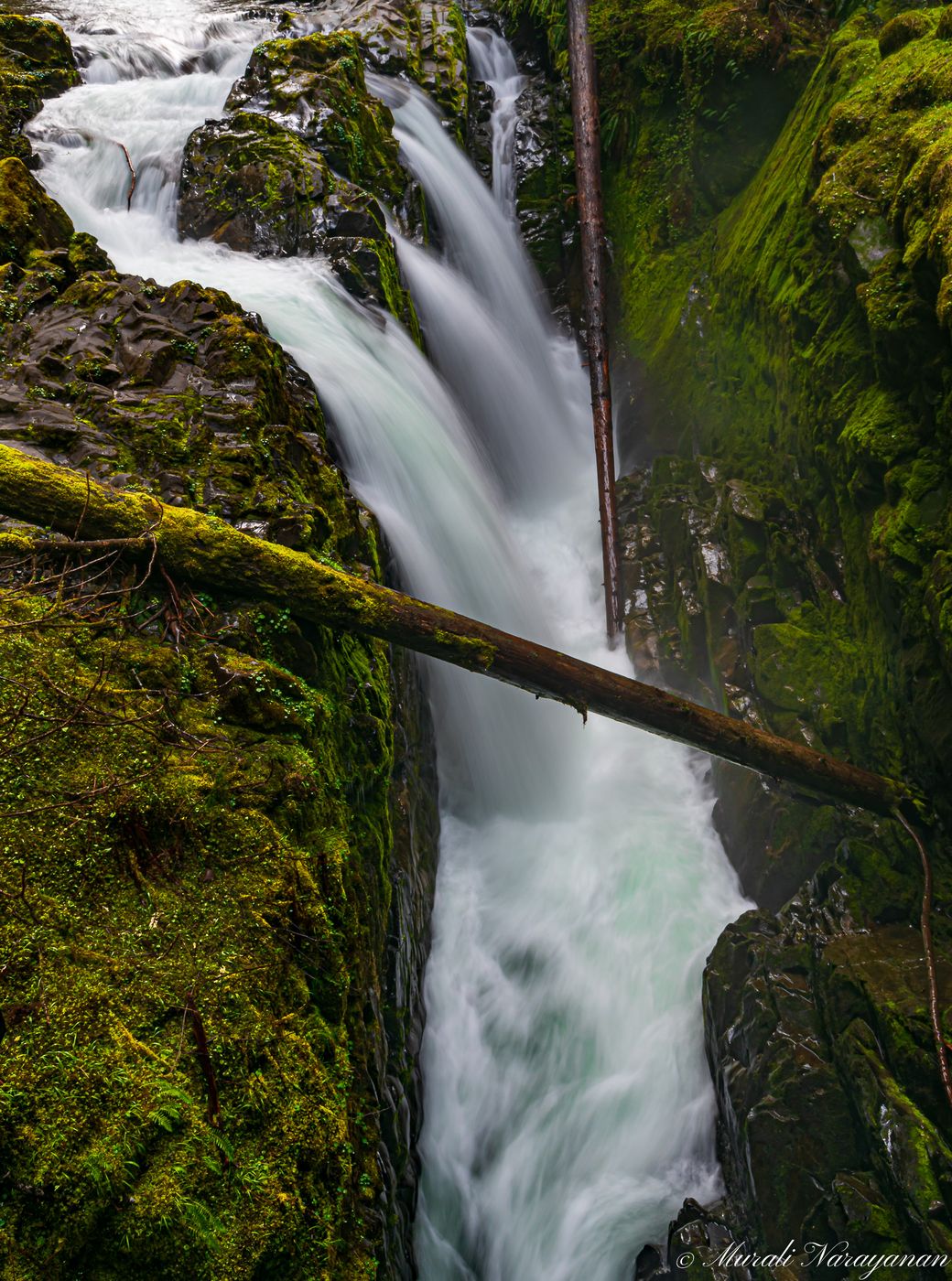 Sol Duc Falls, USA