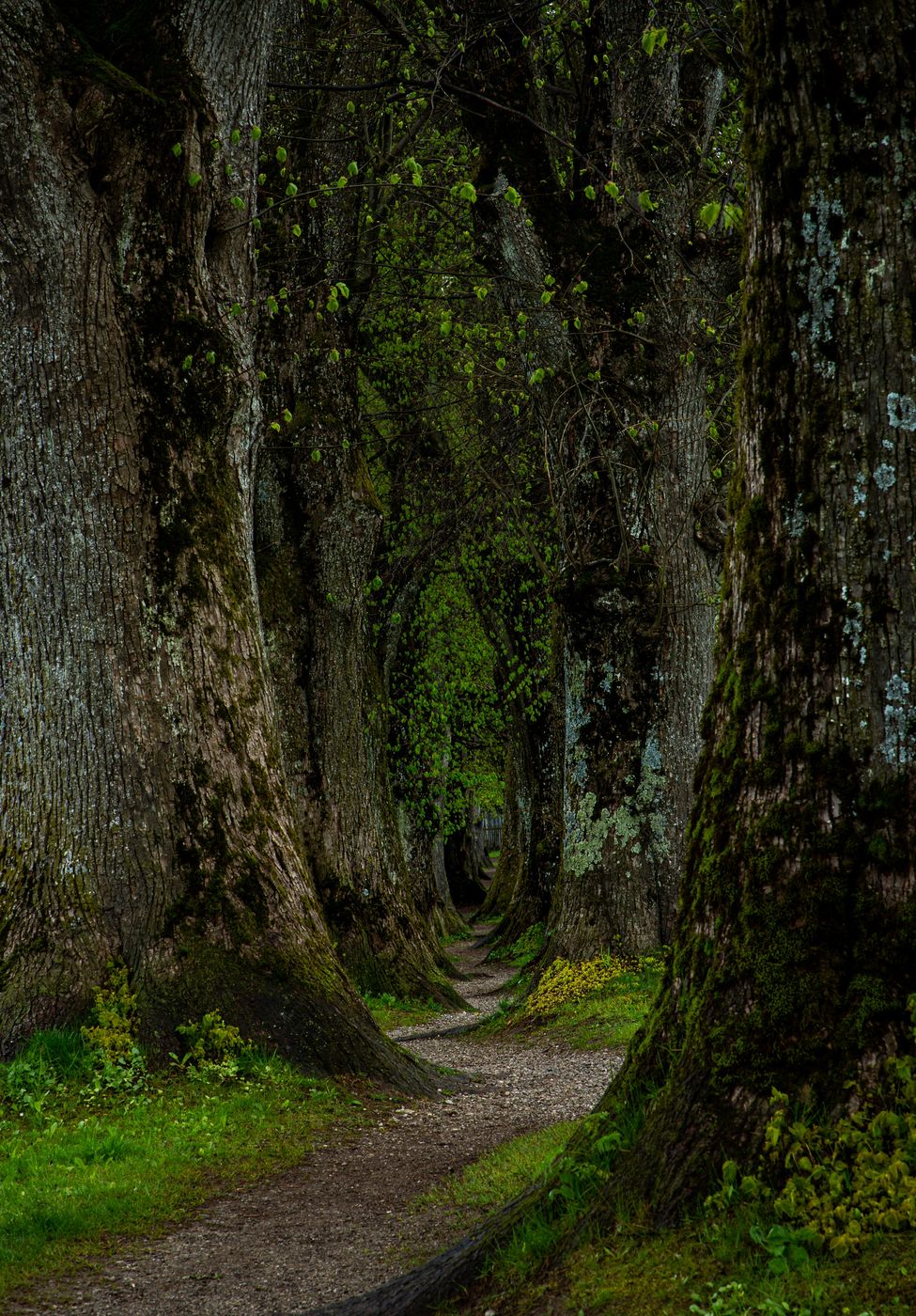 Steindlweg, Germany