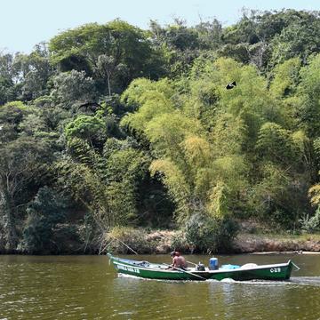 Suruí River, Brazil
