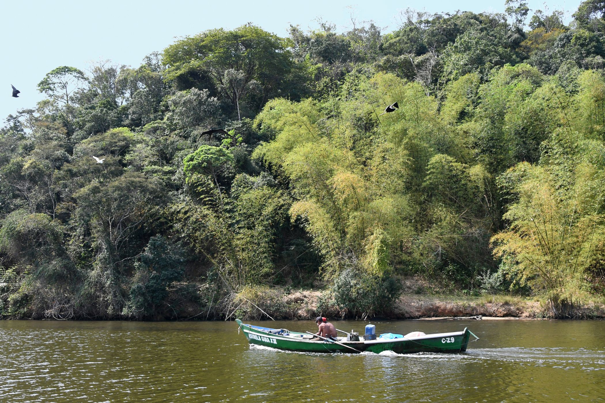 Suruí River, Brazil