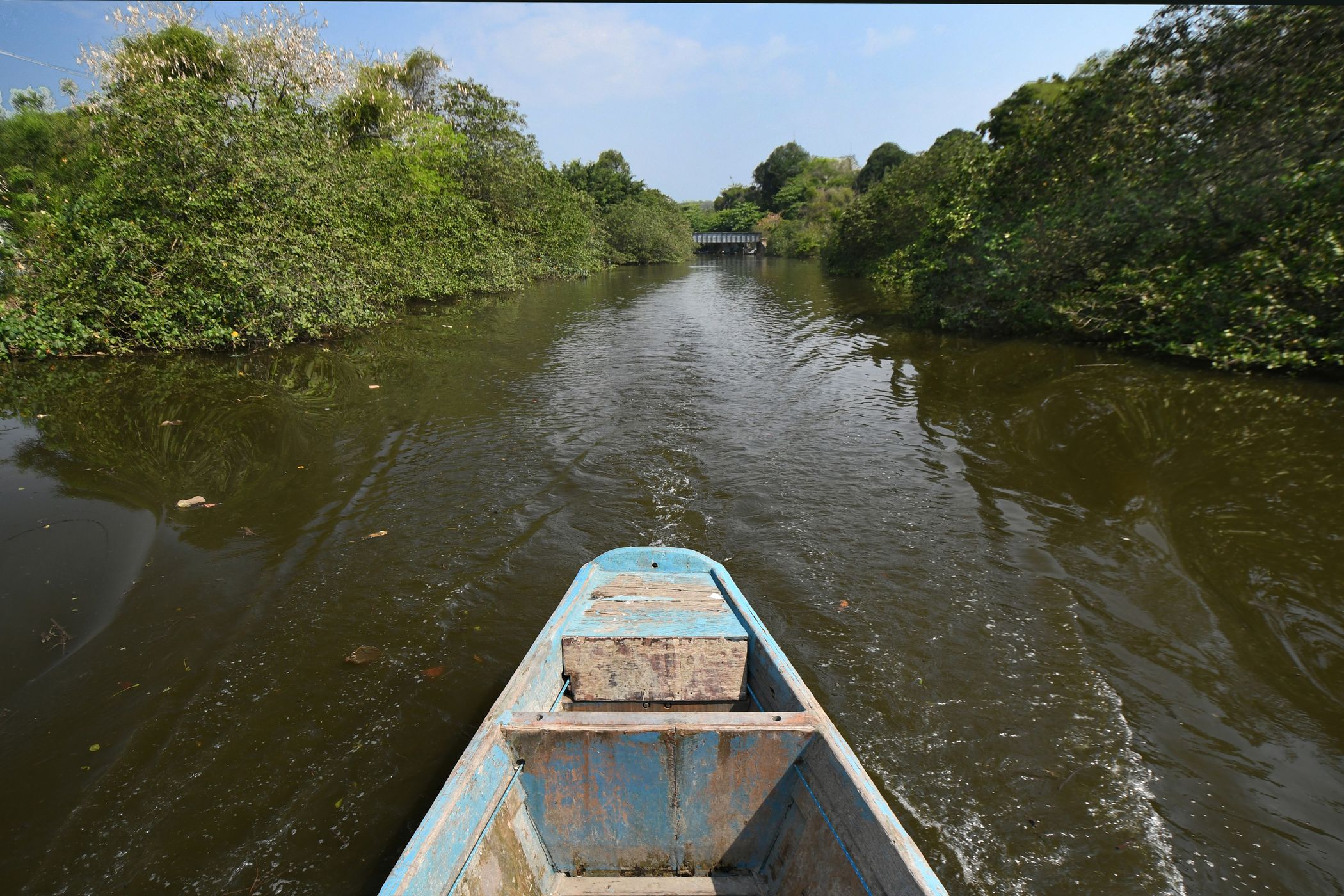 Suruí River, Brazil