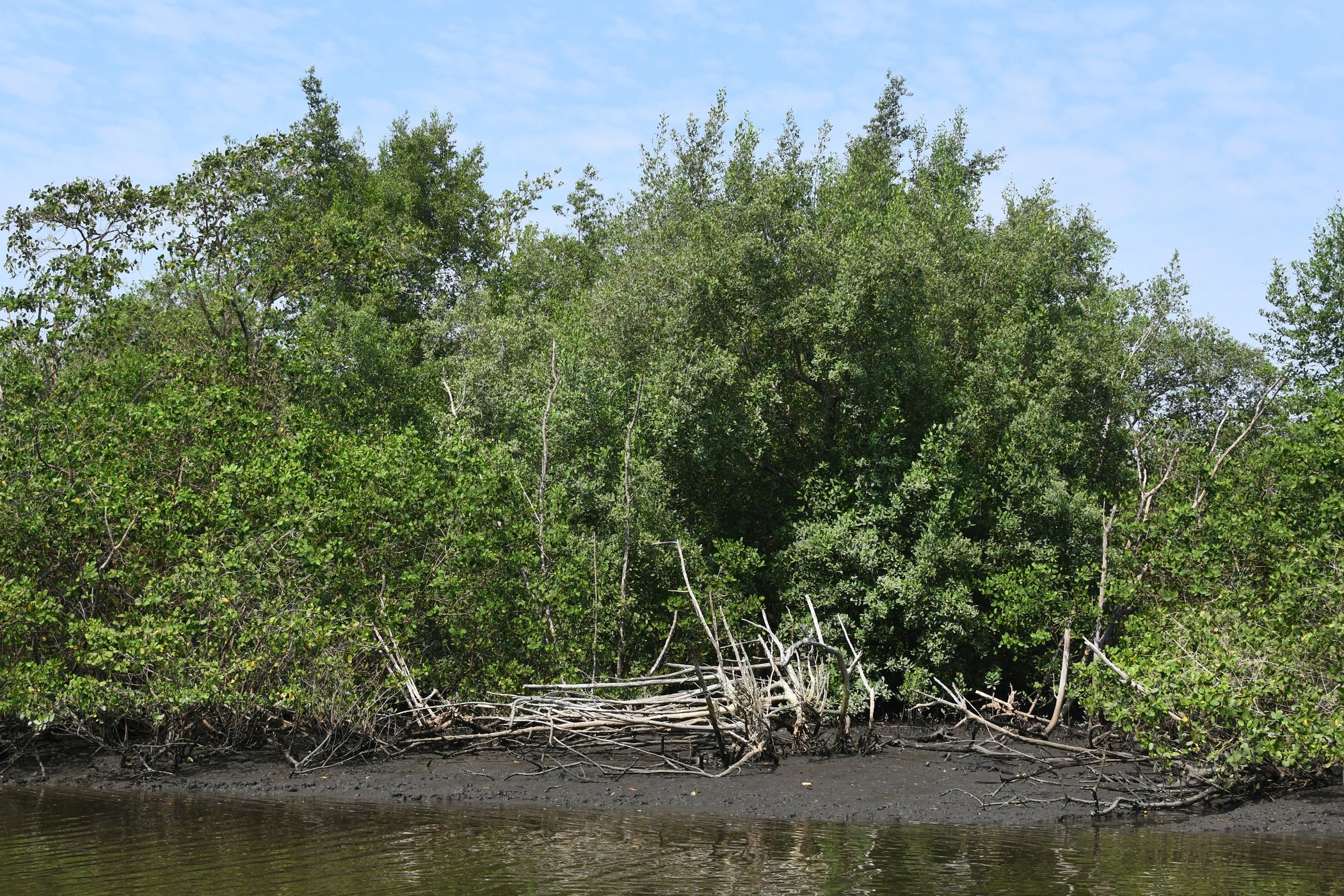 Suruí River, Brazil