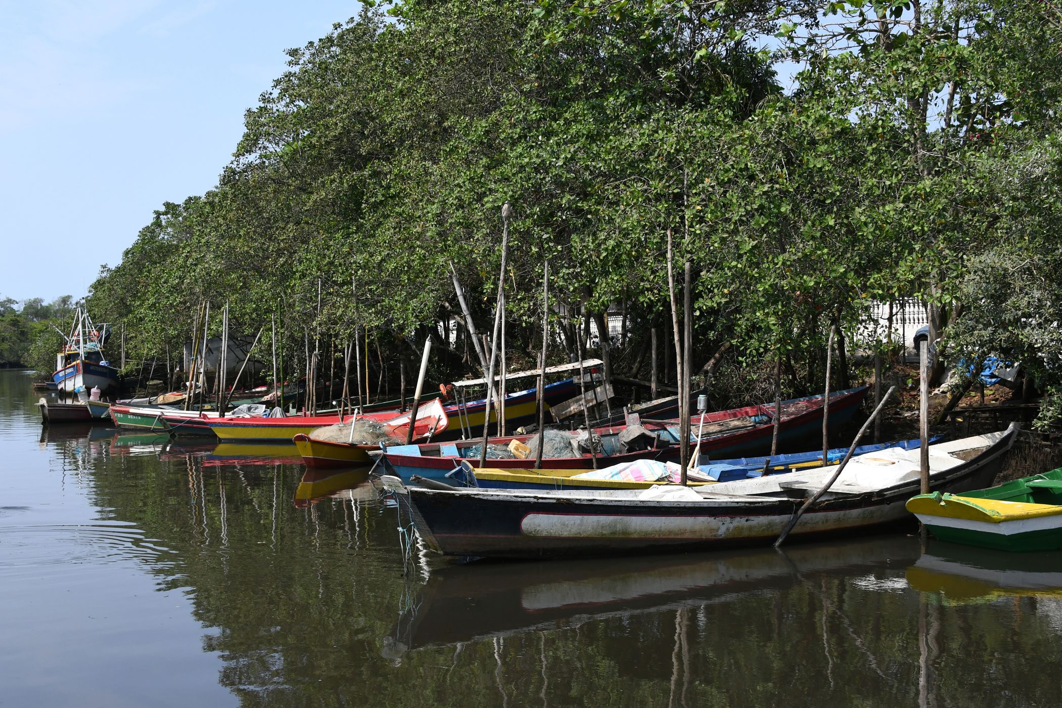 Suruí River, Brazil