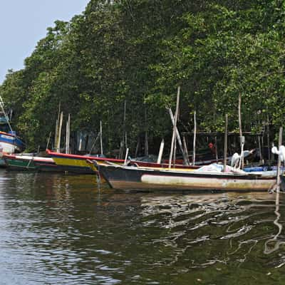 Suruí River, Brazil