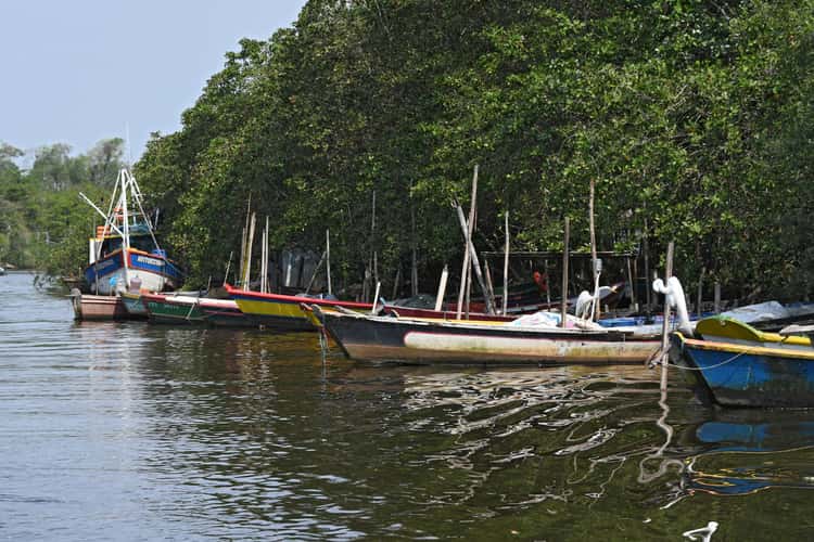Suruí River